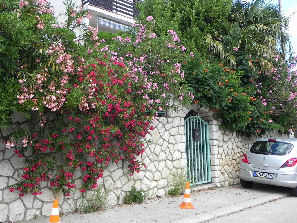 Apartments Katalenić Selce Bagian luar foto