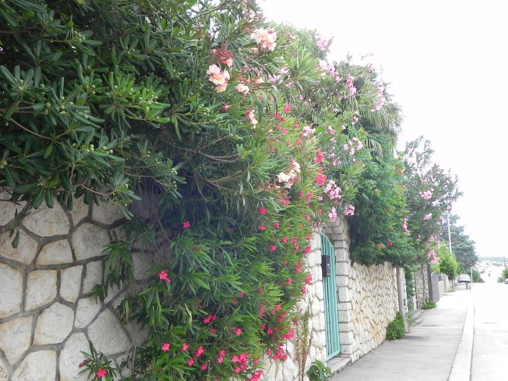 Apartments Katalenić Selce Bagian luar foto